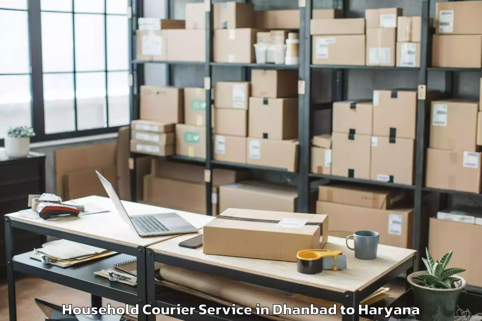 Hassle-Free Dhanbad to Abhilashi University Faridabad Household Courier